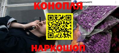 спайс Будённовск