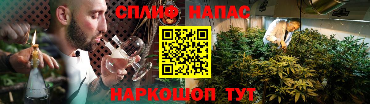 Бошки Шишки планчик  Шишки марихуана семена  Вход с VPN  Каннабис планчик  Якутск 